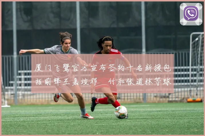 厦门飞鹭官方宣布签约十名新援包括前锋王嘉竣邓棽竹和张道林等球员