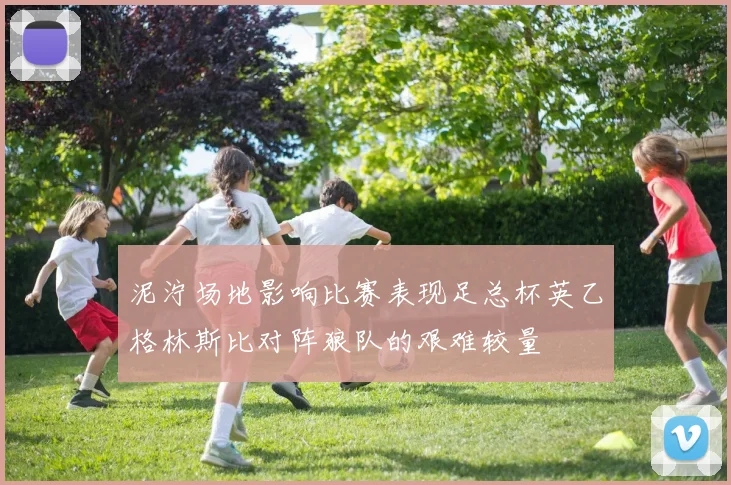 泥泞场地影响比赛表现足总杯英乙格林斯比对阵狼队的艰难较量