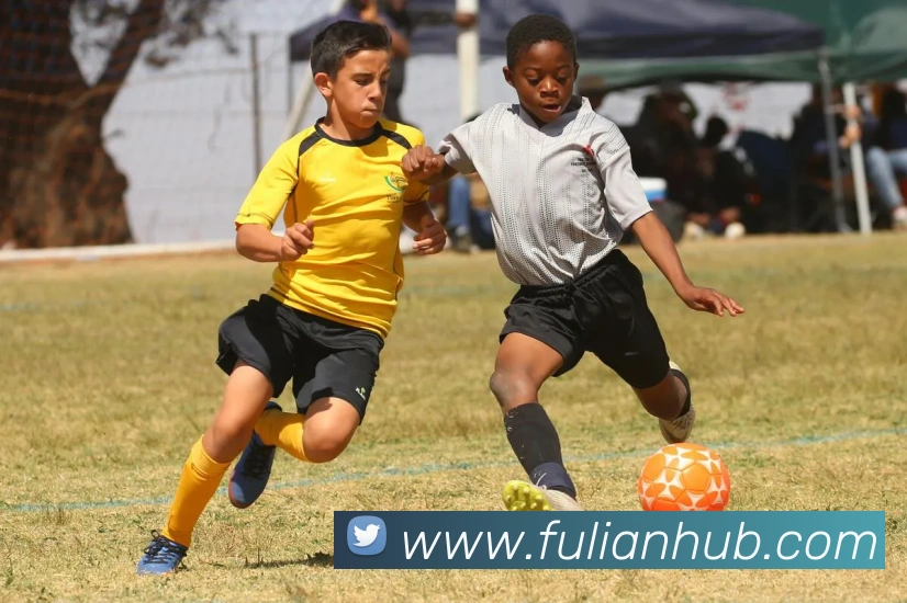 App Interface Preview